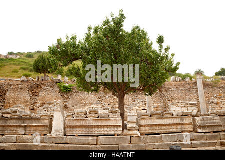 Türkei, Ephesos, antike, ruinieren Stockfoto