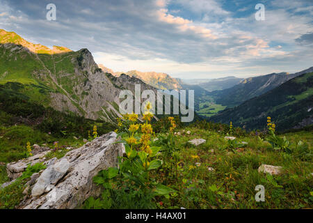 Deutschland, Schrecksee See, Allgäu, Berge, Alpen, Enzian, Bergwelt, Wolken, Morgen, Licht, Stimmung, gelb, anzeigen, Hinterstein, Bad Hindelang, Felsen, Pflanzen, Wiese, Panorama Stockfoto