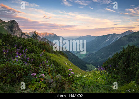 Deutschland, Bayern, Schrecksee, See, Alpen, Berge, Allgäu, Alpen, Aussicht, malerischen, Stimmung, Licht, Morgen, Blumen, Frühling, Sommer, Landschaft, Stockfoto