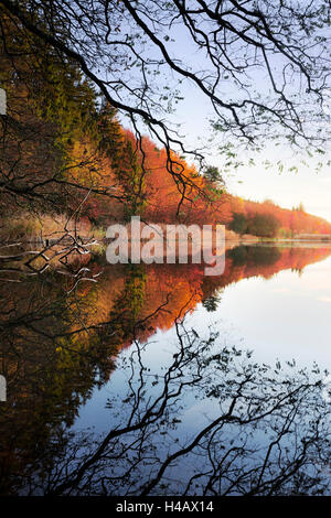 Deutschland, Bayern, Naturpark Augsburg Westliche Wälder, Burgwalden, Teich, Herbst, Licht, Stimmung, Holz, See, Wasser, Spiegelung, Farbe, Landschaft, Stockfoto