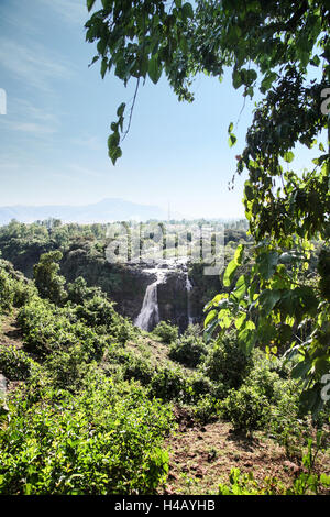 Tisisat, Amhara, Äthiopien, der Blaue Nil, Nil Wasserfälle Stockfoto