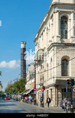 Türkei, Istanbul, Divanyolu, Pressemuseum, Kuppel der Cemberlitas Hamam und die Konstantinsäule (Cemberlitas) Stockfoto