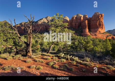 Kaffee Pott Rock, Buena Vista Drive, Sedona, Arizona, USA Stockfoto