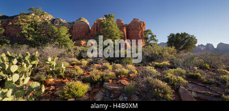 Kaffee Pott Rock, Buena Vista Drive, Sedona, Arizona, USA Stockfoto