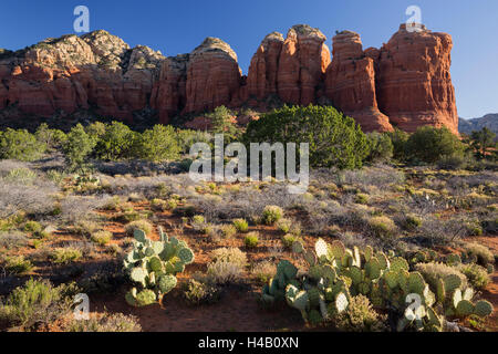 Kaffee Pott Rock, Buena Vista Drive, Sedona, Arizona, USA Stockfoto