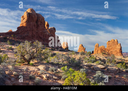 Elephant Butte, Arches-Nationalpark, Utah, USA Stockfoto