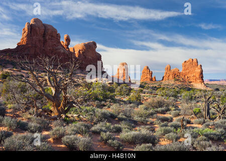 Elephant Butte, Arches-Nationalpark, Utah, USA Stockfoto