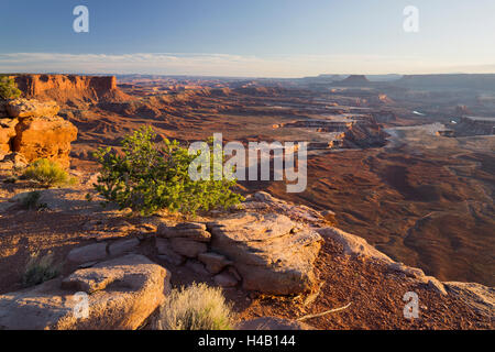 Grand View Point, Green River Overlook, Island In The Sky, Canyonlands National Park, Utah, USA Stockfoto