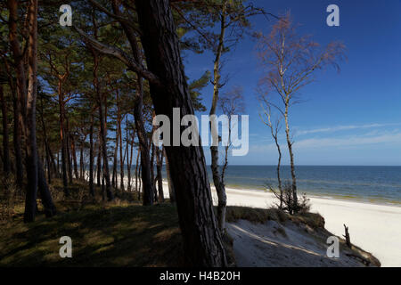 Strand und Steilküste an der Ostsee in der Wolliner Nationalpark zwischen Wiselka und Misdroy im Westen Pommerschen Woiwodschaft, Polen Stockfoto