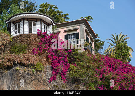 Madeira, Quinta Vigia in Funchal Stockfoto