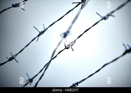 Stacheldraht, neutralem Hintergrund Stockfoto