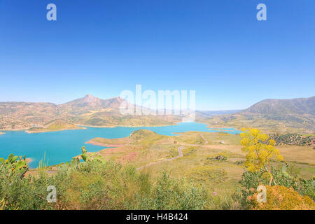 Sumpf in Sierra de Grazalema, Cadiz, Spanien Stockfoto