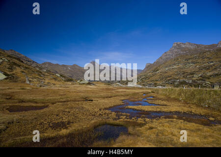 Schweiz, Bündner, Rhein Holz, San Bernardino, Pass, Bergpass, Marsh Wiese, Moore, Bach Masegg, Mäander, Stockfoto