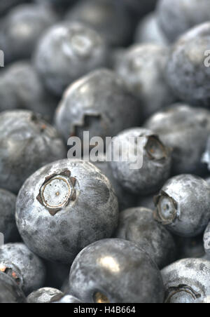 Blaubeeren, Vaccinium Myrtillus, Nahaufnahme, Stockfoto