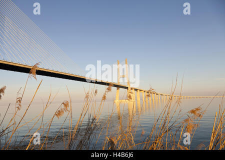 Ponte Vasco da Gama, Vasco da Gama Bridge, Fluss Tejo, Lissabon, Portugal, Stockfoto