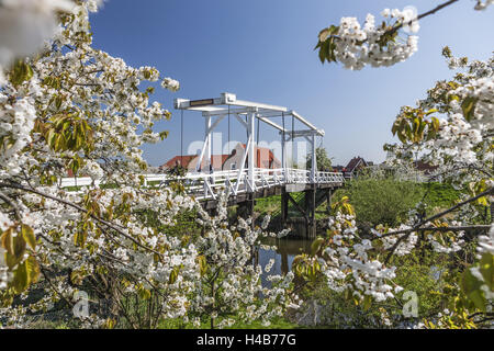 Deutschland, Niedersachsen, Altes Land, Steinkirchen, Hogendiek-Brücke, Stockfoto