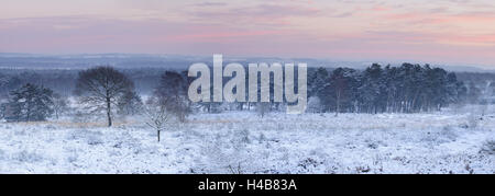 Deutschland, Nordrhein-Westfalen, Wahner Heide, Blick von der Telegrafenberg im Winter bei Sonnenaufgang, Stockfoto
