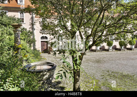 Deutschland, Thüringen, Weimar, Charlotte von Stein Haus, Baum, Stockfoto