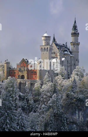 Deutschland, Bayern, Schloss Neuschwanstein im Winter, Morgennebel, Schwangau in der Nähe von Füssen, Stockfoto