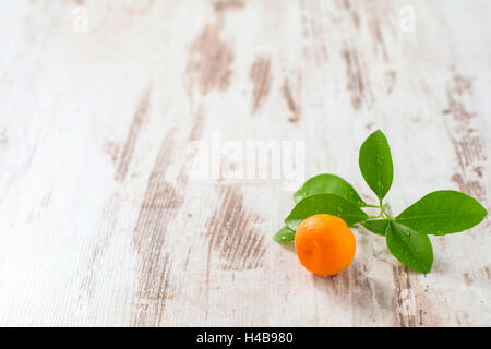 Mini-Orange mit Laub auf weißer Holztisch, Stockfoto