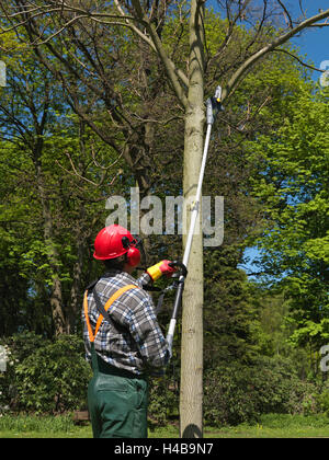 Gärtner, Baum schneiden, Scheren, Motorsäge Stockfotografie Alamy
