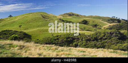 Wharariki, Tasman, Südinsel, Neuseeland Stockfoto