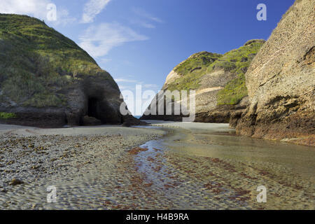 Wharariki Beach, Tasman, Südinsel, Neuseeland Stockfoto