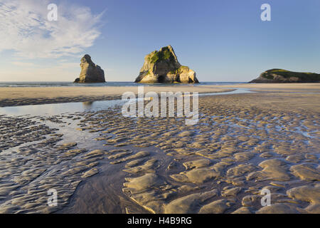 Torbogen Inseln, Wharariki Beach, Tasman, Südinsel, Neuseeland Stockfoto