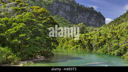 Pororari River, Paparoa National Park, West Coast, Südinsel, Neuseeland Stockfoto