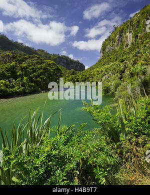 Pororari River, Paparoa National Park, West Coast, Südinsel, Neuseeland Stockfoto