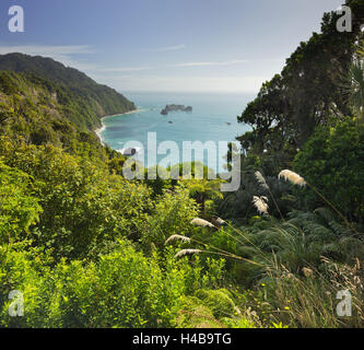 Knights Point Lookout, West Coast, Südinsel, Neuseeland Stockfoto