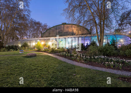 Palmengarten Botanischer Garten in Frankfurt Am Main, Hessen