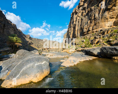 Wadi-Damm, Hajar al-Gharbi-Gebirge, Al Dhahirah Region, Arabien, Naher Osten, Oman Stockfoto