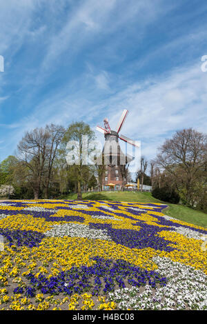 Bunte Blumenbeete mit Windmühle und Wälle, Frühling, Bremen, Deutschland Stockfoto