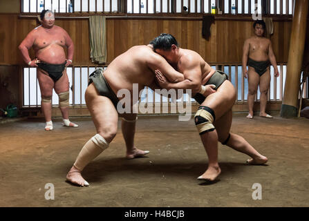 Ringer-Sumo-Trainingseinheit, Asageiko, Azumazeki Beya, Stall, Tokyo, Japan Stockfoto