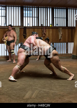 Ringer-Sumo-Trainingseinheit, Asageiko, Azumazeki Beya, Stall, Tokyo, Japan Stockfoto