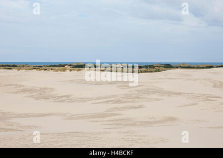 Råbjerg Mile, Nord Dänemark Stockfoto