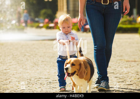 Junge ist den Hund Fuß. Stockfoto