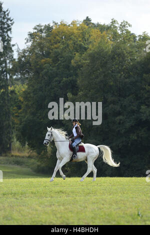 Teenager-Mädchen, Pferd, Bayerisches Warmblut, Wiese, Reiten, Seitenansicht, Stockfoto