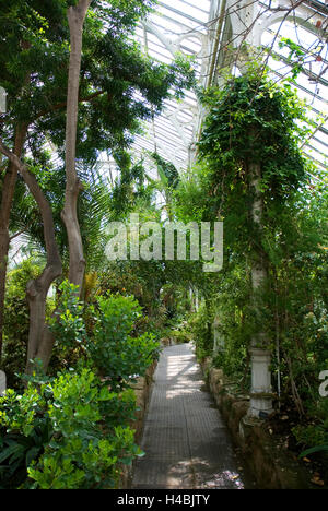 Im Inneren des gemäßigten Hauses in Kew Gardens, London, UK Stockfoto