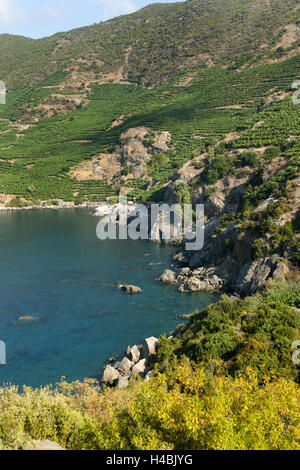 Türkei, Provinz Antalya, Gazipasa, Bucht in der Ausgrabung Antiochia Ad Cragum mit Bananenplantagen, Stockfoto