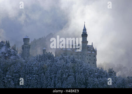 Deutschland, Bayern, Schloss Neuschwanstein im Winter, Morgennebel, Schwangau in der Nähe von Füssen, Stockfoto