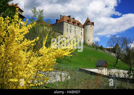 Schweiz, "Chateau de GruyÞres" im Schweizer Kanton Freiburg an einem sonnigen Frühlingstag Stockfoto