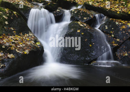 Deutschland, Sachsen-Anhalt, Harz, Ilsenburg, Ilse Tal, Wasserfall im Herbst, Stockfoto