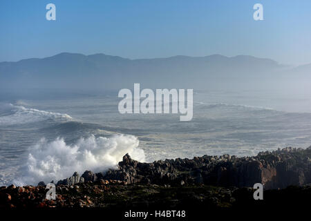 Grootbos Nature Reserve, Küsten Landscpae in der Nähe von De Kelders, Südafrika, Western Cape Stockfoto