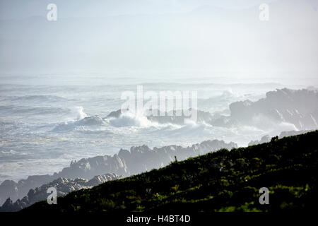 Grootbos Nature Reserve, Küsten Landscpae in der Nähe von De Kelders, Südafrika, Western Cape Stockfoto