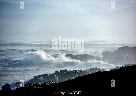 Grootbos Nature Reserve, Küsten Landscpae in der Nähe von De Kelders, Südafrika, Western Cape Stockfoto