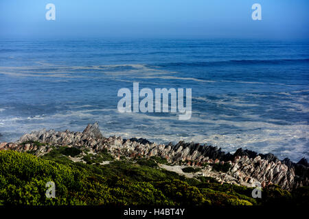 Grootbos Nature Reserve, Küsten Landscpae in der Nähe von De Kelders, Südafrika, Western Cape Stockfoto