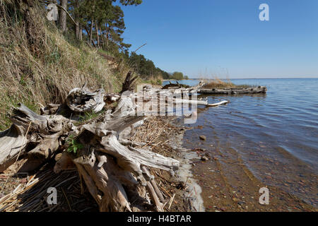 Küstengebiet an der Lagune von Stettin im Nationalpark Wolin in der Nähe des Ortes Karzig, Insel Wolin, Woiwodschaft Westpommern, Polen Stockfoto