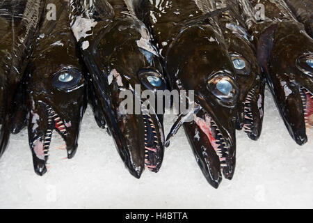 Funchal, Degenfisch in der Markthalle Stockfoto